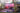 Darwin-Port-Bandstand-at-Darwin-Festival-Festival-Park_HelenOrr-30