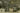 ph0731-0053